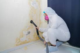 Best Mold Remediation for Healthcare Facilities  in Wellsville, KS